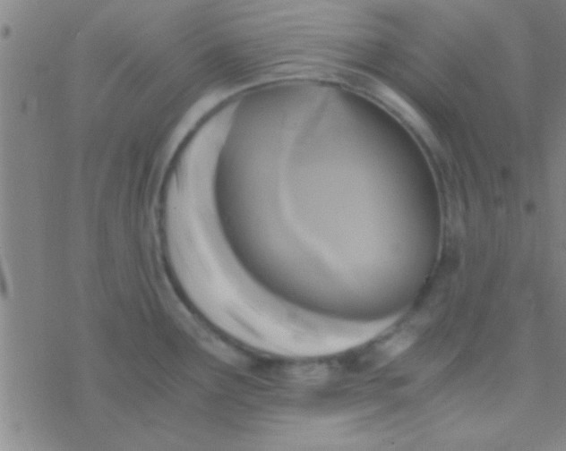 X0000076451291200610271814