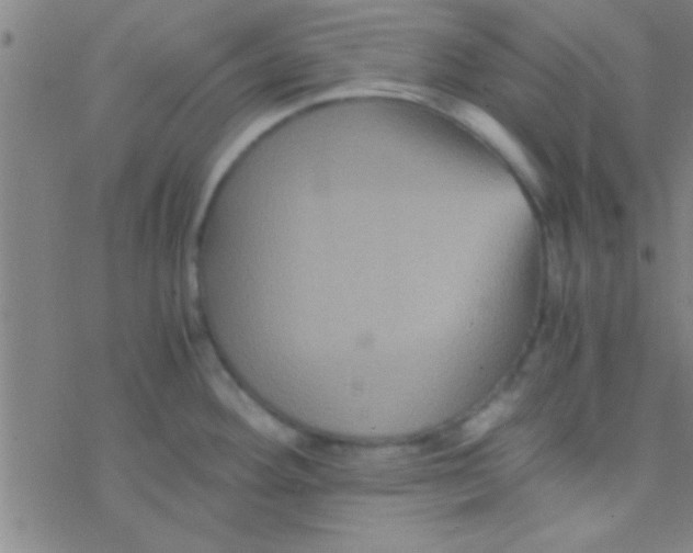 X0000076451292200610271814