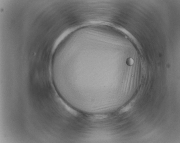 X0000076451294200610271814