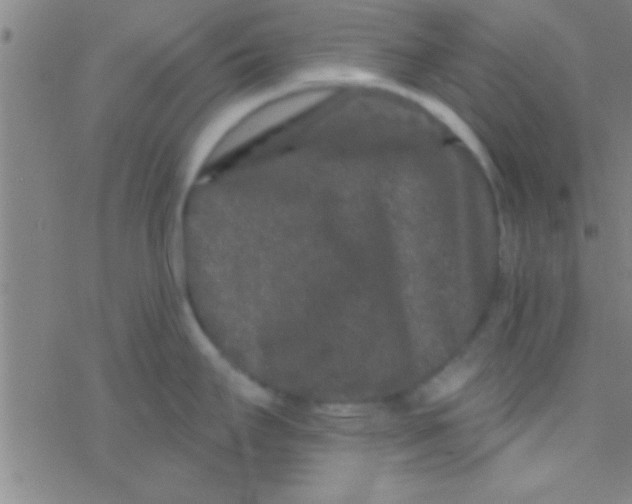 X0000076451295200610271814