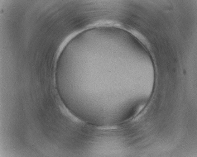 X0000076451296200610271814