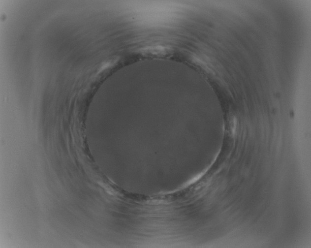 X0000076451297200610271814