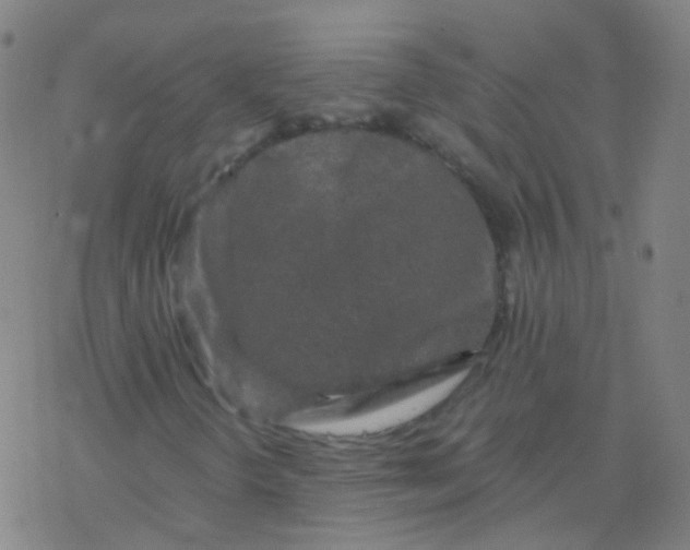 X0000076451298200610271814