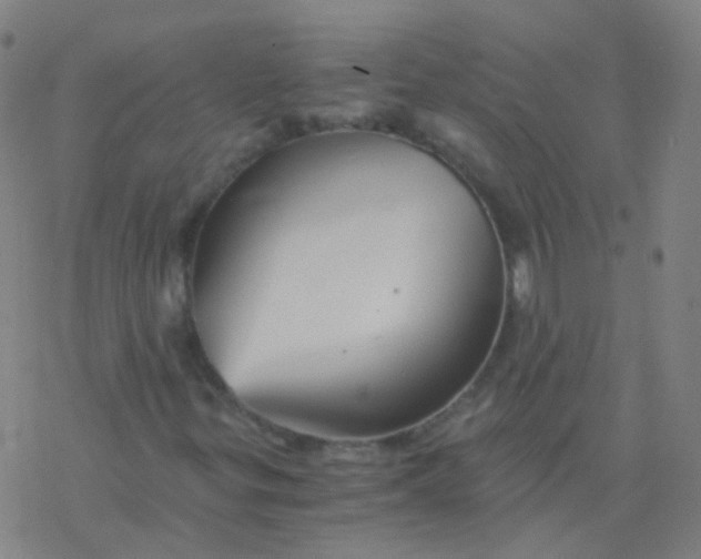 X0000076451299200610271814