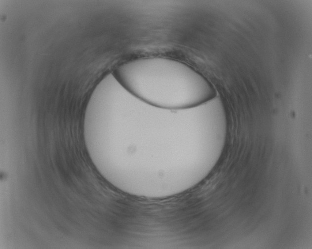 X0000076451300200610271814