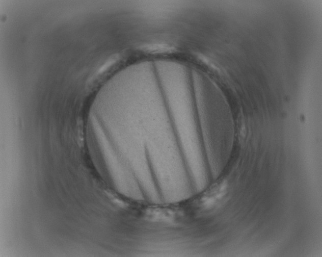 X0000076451301200610271814