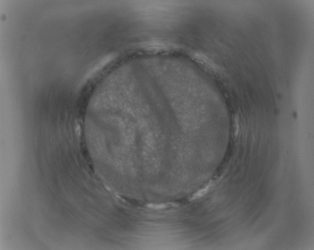 X0000076451302200610271814