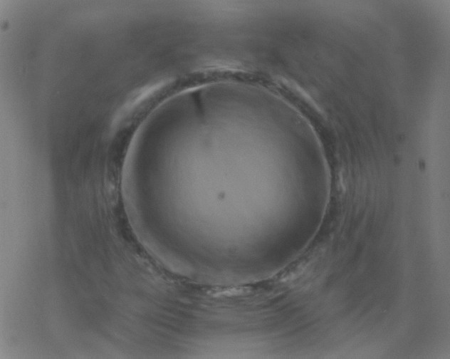 X0000076451303200610271814