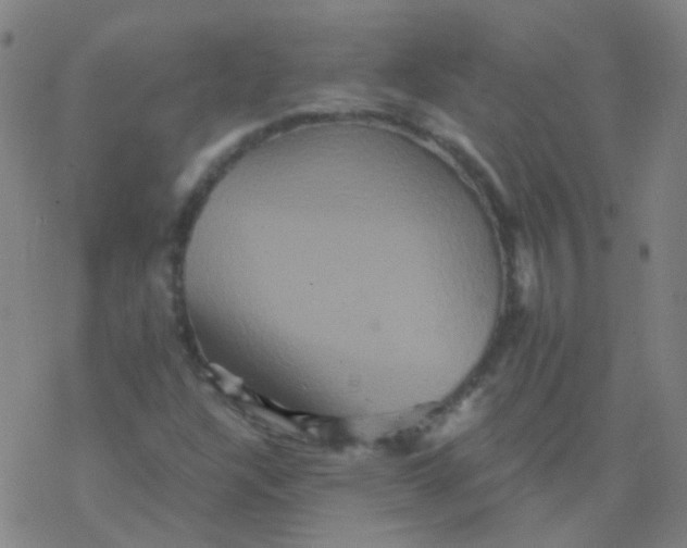 X0000076451304200610271814