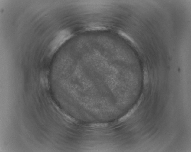 X0000076451305200610271814