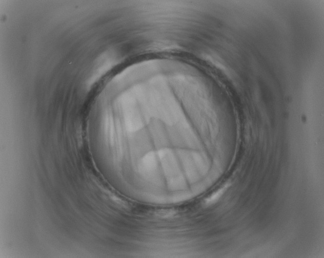 X0000076451306200610271814