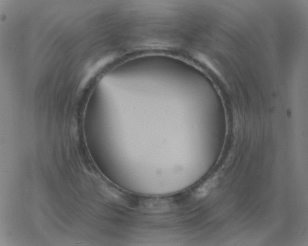 X0000076451307200610271814