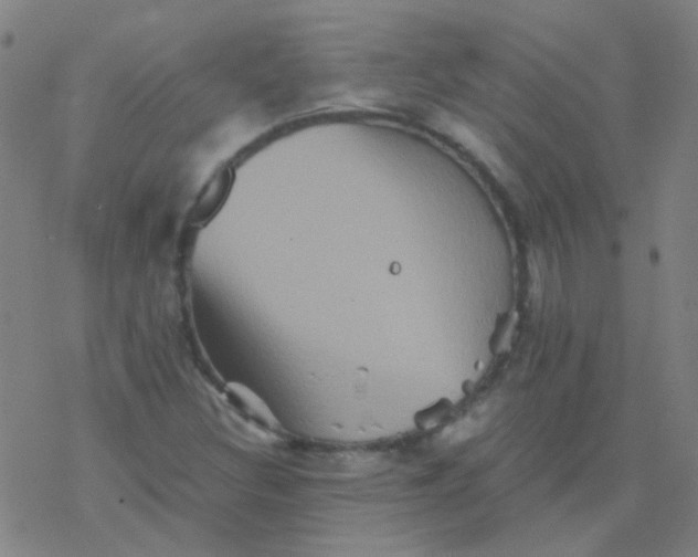 X0000076451308200610271814