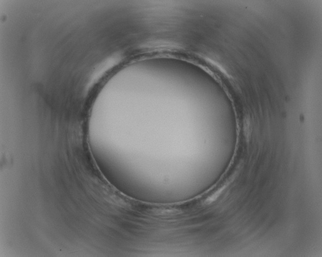 X0000076451309200610271814