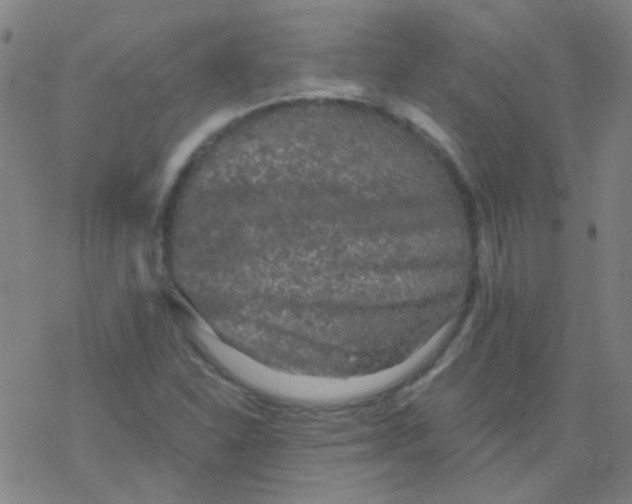 X0000076451310200610271814