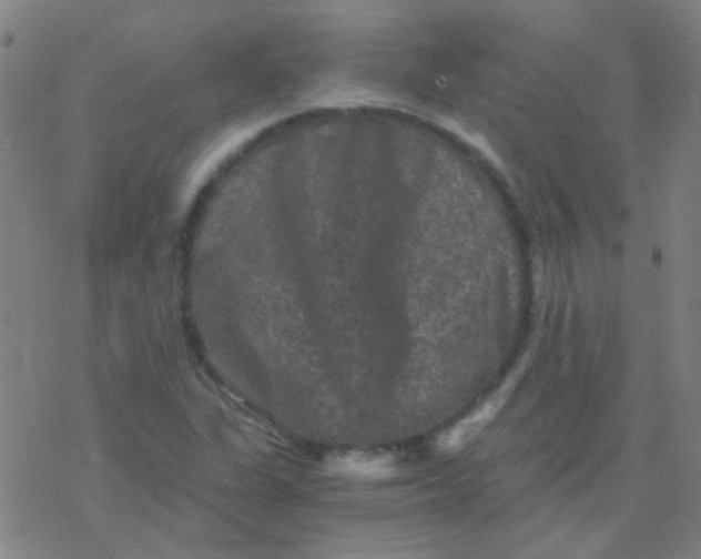 X0000076451311200610271814