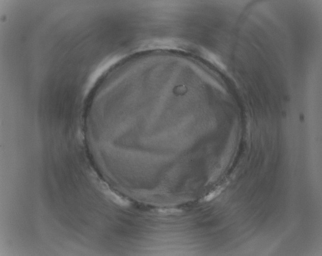 X0000076451312200610271814