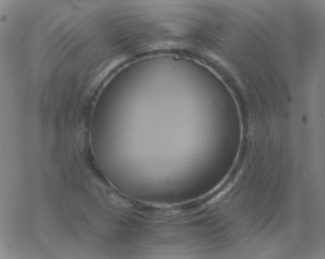 X0000076451313200610271814