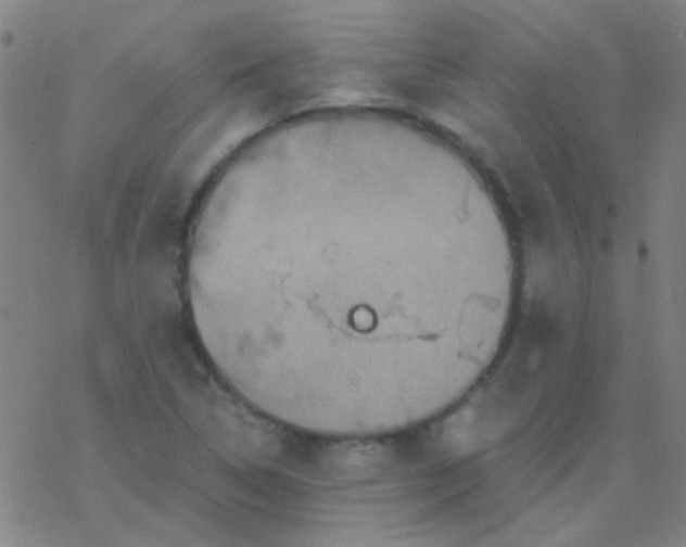 X0000076451314200610271814