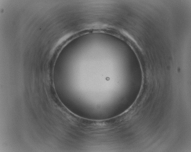 X0000076451315200610271814