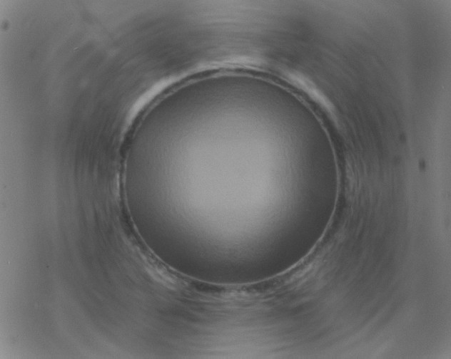 X0000076451316200610271814