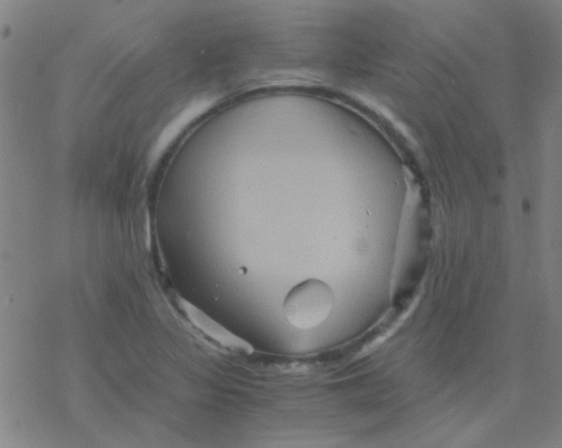 X0000076451317200610271814