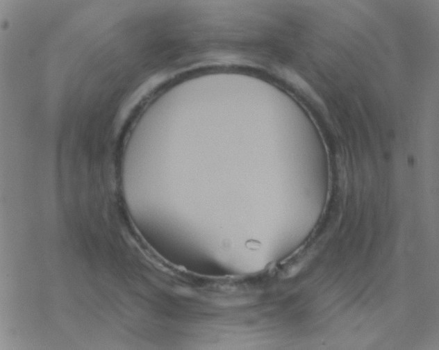 X0000076451318200610271814