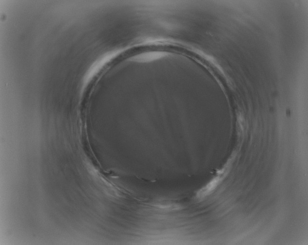 X0000076451319200610271814