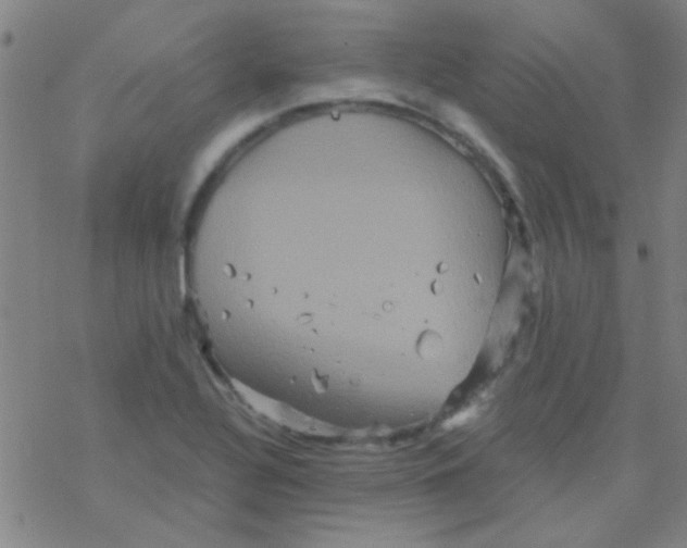 X0000076451320200610271814