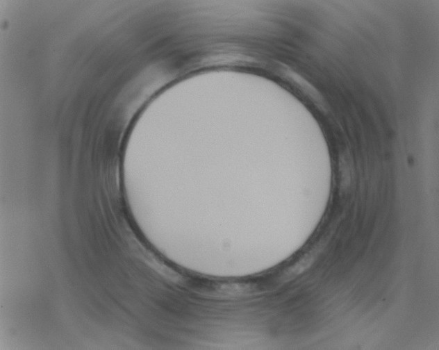 X0000076451322200610271814