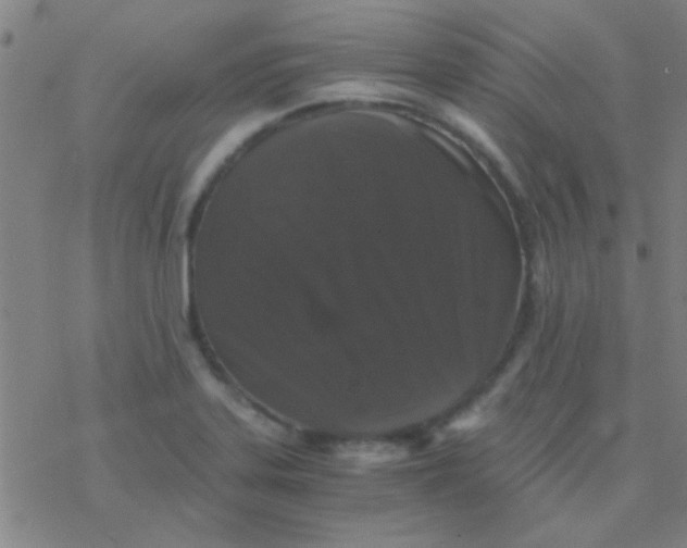 X0000076451323200610271814