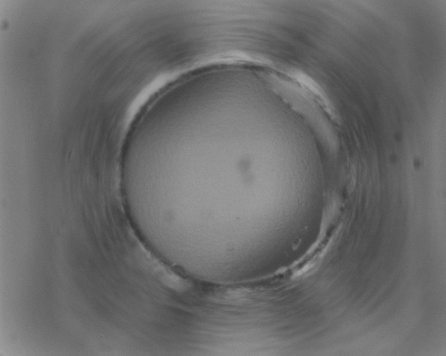 X0000076451326200610271814