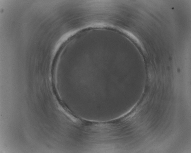 X0000076451327200610271814