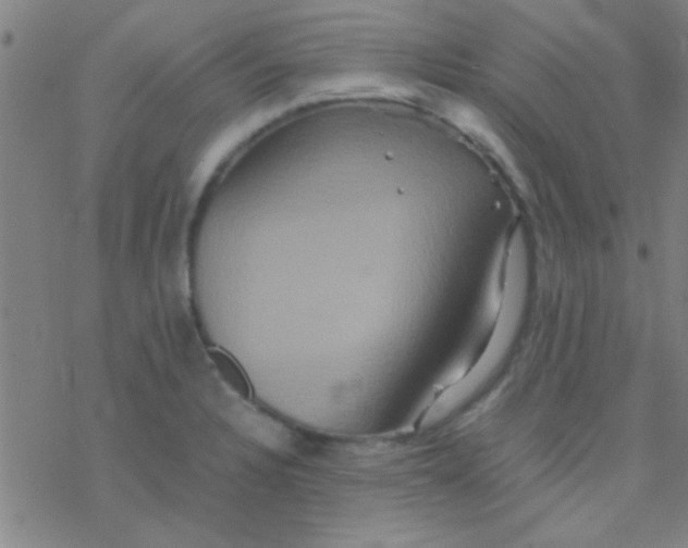 X0000076451328200610271814