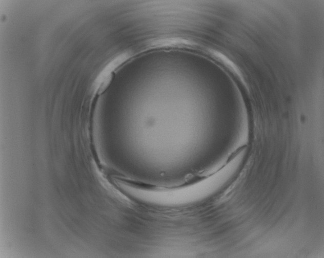 X0000076451330200610271814