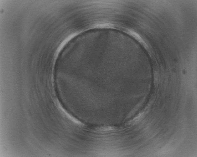 X0000076451331200610271814