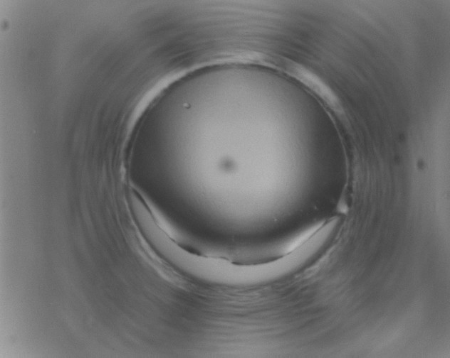 X0000076451332200610271814