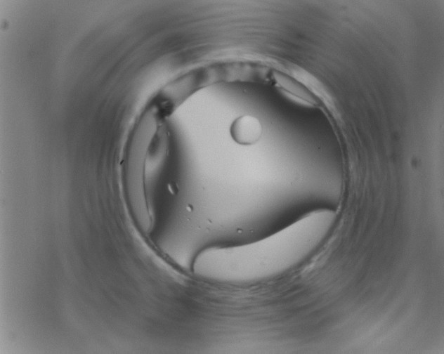 X0000076451334200610271814