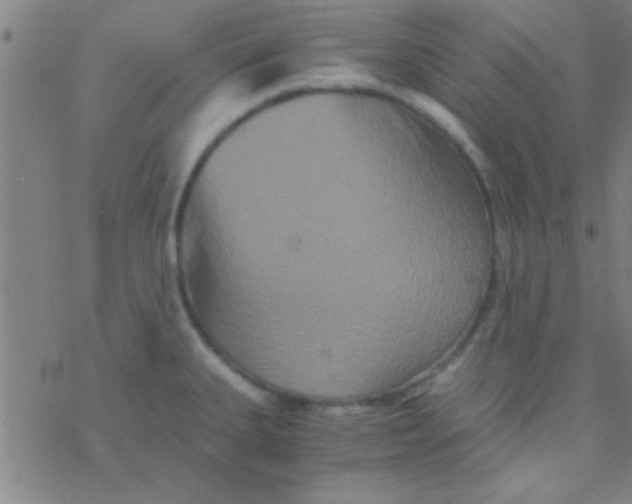 X0000076451335200610271814