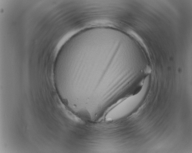 X0000076451336200610271814