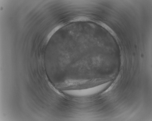 X0000076451337200610271814