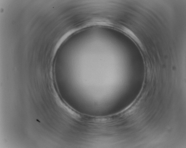 X0000076451339200610271814