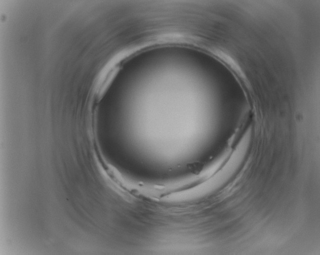 X0000076451342200610271814