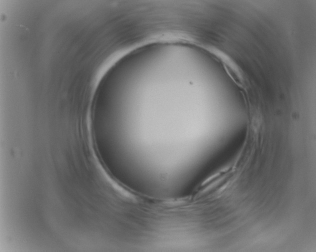 X0000076451343200610271814