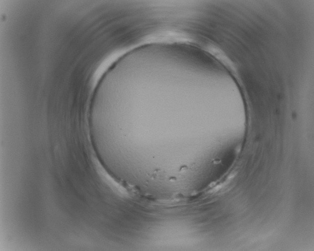 X0000076451344200610271814