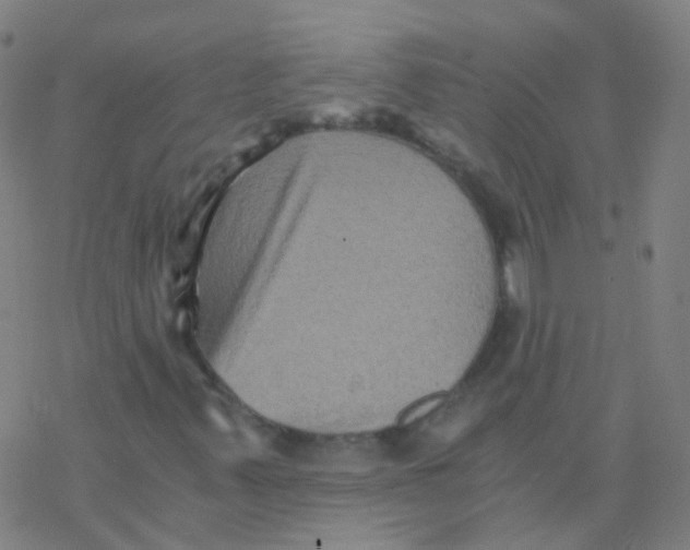 X0000076451347200610271813