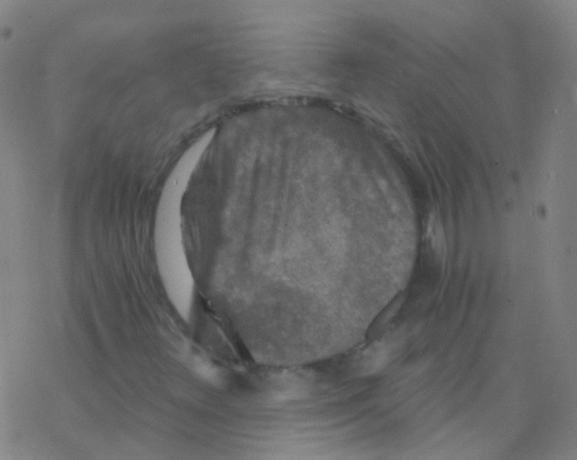 X0000076451348200610271813