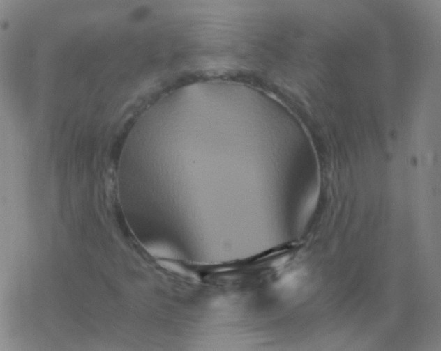 X0000076451349200610271813