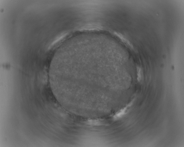 X0000076451350200610271813