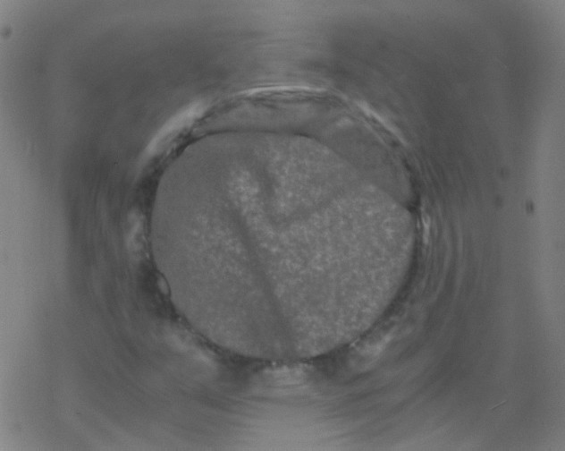 X0000076451351200610271813